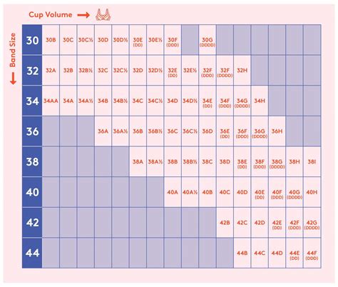 uk bra sizes chart